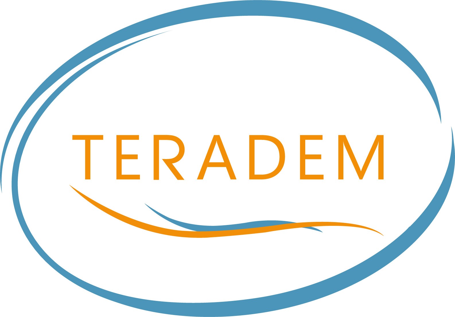 Logo de Teradem